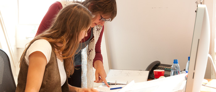 administratie culturele sector